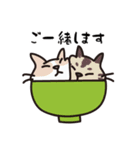 うつわねこ（個別スタンプ：10）