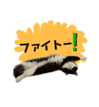 銀二郎と麦三。ときどき、とろとラムネ。（個別スタンプ：12）