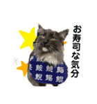銀二郎と麦三。ときどき、とろとラムネ。（個別スタンプ：23）