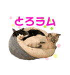 銀二郎と麦三。ときどき、とろとラムネ。（個別スタンプ：35）