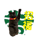 銀二郎と麦三。ときどき、とろとラムネ。（個別スタンプ：36）