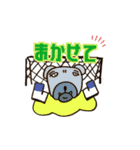 毎日ビーチボーイズ（個別スタンプ：37）