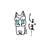 大学生なねこ（個別スタンプ：13）