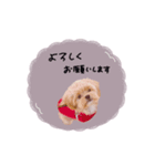 ♡momoko様（個別スタンプ：4）