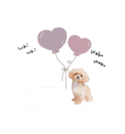 ♡momoko様（個別スタンプ：5）