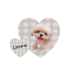 ♡momoko様（個別スタンプ：6）