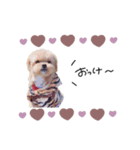 ♡momoko様（個別スタンプ：7）