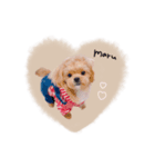 ♡momoko様（個別スタンプ：8）