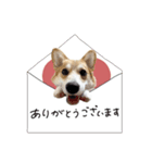 ♡ゆか様（個別スタンプ：1）