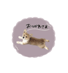 ♡ゆか様（個別スタンプ：4）