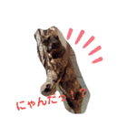 サビ猫ほるへの日常④あいさつ（個別スタンプ：2）