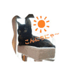 サビ猫ほるへの日常④あいさつ（個別スタンプ：10）