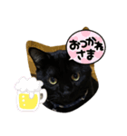 黒猫ブラザーズの日常（個別スタンプ：4）