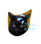 黒猫ブラザーズの日常（個別スタンプ：5）