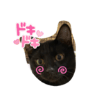 黒猫ブラザーズの日常（個別スタンプ：12）