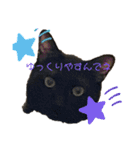 黒猫ブラザーズの日常（個別スタンプ：14）