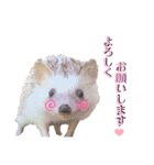 Moco Roox Tino（個別スタンプ：8）