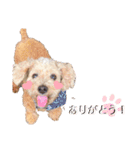 Moco Roox Tino（個別スタンプ：26）