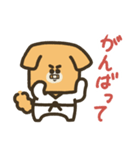 柔道犬。（個別スタンプ：13）