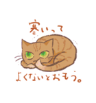 ムキムキニャンコたち 2（個別スタンプ：1）