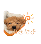 ジェシーちゃんスタンプ4（個別スタンプ：4）