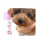 ジェシーちゃんスタンプ4（個別スタンプ：6）
