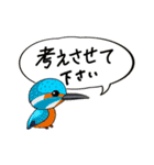 Cockatoos and wild birds stickers（個別スタンプ：6）