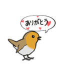 Cockatoos and wild birds stickers（個別スタンプ：7）