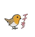 Cockatoos and wild birds stickers（個別スタンプ：9）
