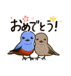 Cockatoos and wild birds stickers（個別スタンプ：10）