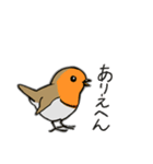 Cockatoos and wild birds stickers（個別スタンプ：11）