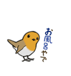 Cockatoos and wild birds stickers（個別スタンプ：12）