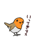 Cockatoos and wild birds stickers（個別スタンプ：20）