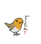 Cockatoos and wild birds stickers（個別スタンプ：21）