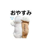 わんわんとうーたん（個別スタンプ：2）