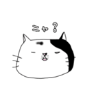 よすねこ（個別スタンプ：1）