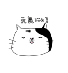 よすねこ（個別スタンプ：2）