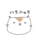 よすねこ（個別スタンプ：7）