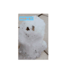 みんな集合ですね（個別スタンプ：2）