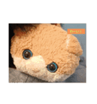 みんな集合ですね（個別スタンプ：3）