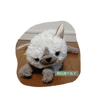 みんな集合ですね（個別スタンプ：11）