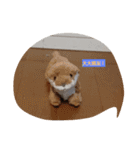 みんな集合ですね（個別スタンプ：12）