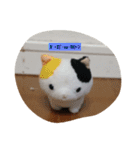 みんな集合ですね（個別スタンプ：14）