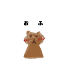 おふっちゃうくま（個別スタンプ：1）