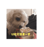 ハッピーちゃん2（個別スタンプ：9）