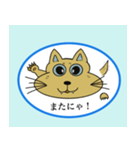 ちょっとわがままな野良猫（個別スタンプ：8）