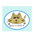 ちょっとわがままな野良猫（個別スタンプ：11）