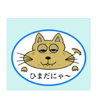 ちょっとわがままな野良猫（個別スタンプ：12）