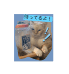 My Friend (=^x^=)（個別スタンプ：2）