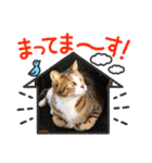 My Friend (=^x^=)（個別スタンプ：4）